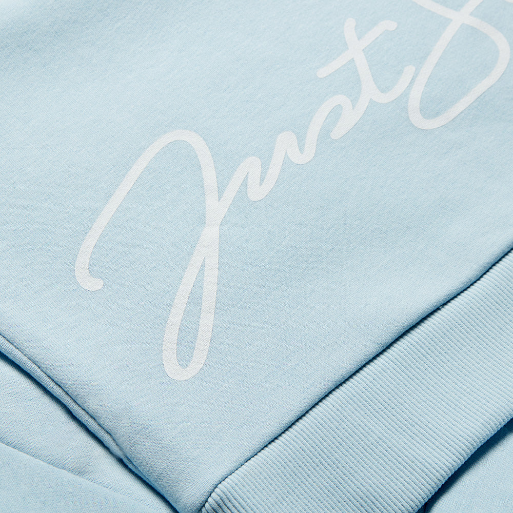 Light Blue Iris Boyfriend Hoodie